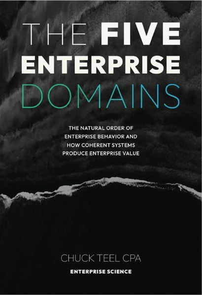 teel-the-five-enterprise-domains-book-front-cover