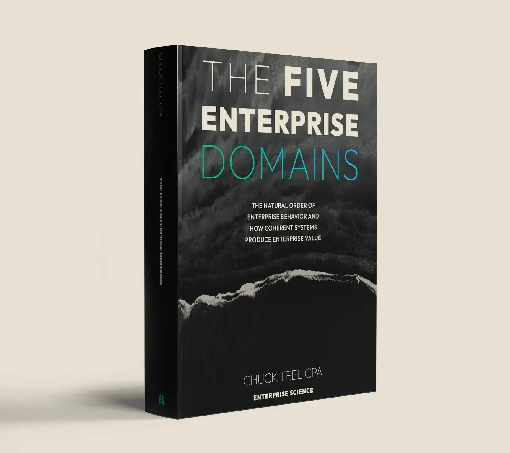 the-five-enterprise-domains-book